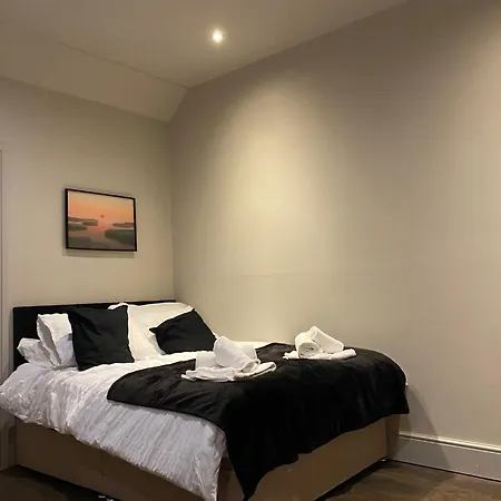 Stunning King In The Heart Of Center